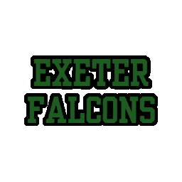 Falcons Sticker