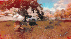 horizon