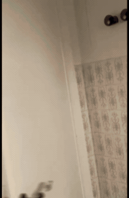 Surprise Toilet GIF