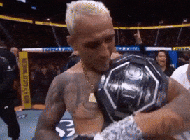 Mma Bjj GIF