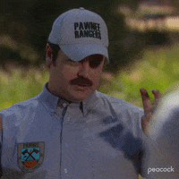 Season 4 Art GIF by Parks and Recreation