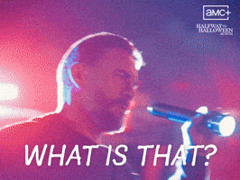 What Is That Cm Punk GIF by Shudder