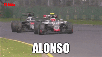 filippo  GIF