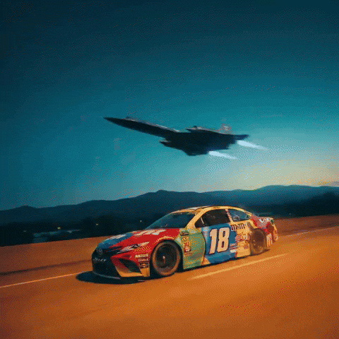 Winning Kyle Busch GIF