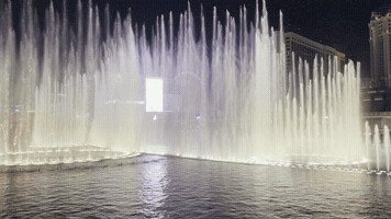 Las Vegas GIF