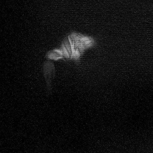 digital art GIF by XCOPY