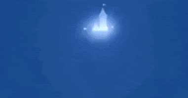 Did I Ask GIF