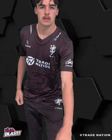 GIF by Somerset County Cricket Club