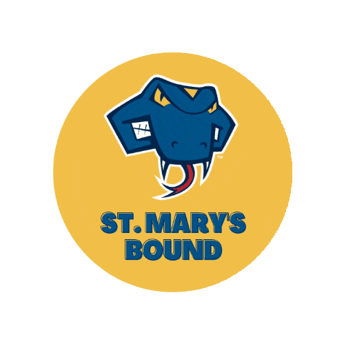 San Antonio College Sticker by St. Mary's University