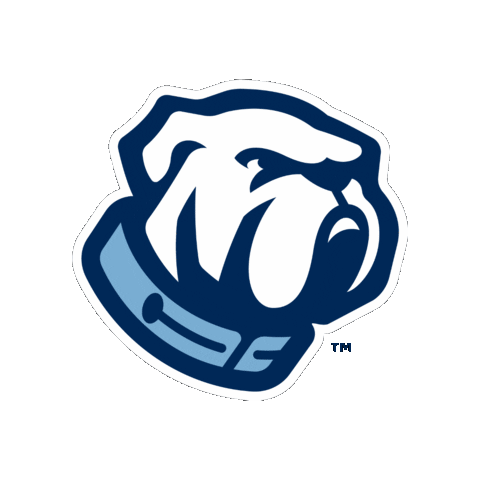 The Citadel Brigadier Foundation Sticker