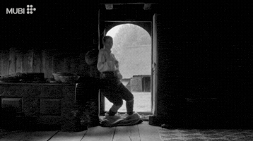 Film Cinema GIF by MUBI