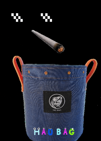 Hau Bag GIF