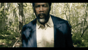 History Omg GIF by FROM