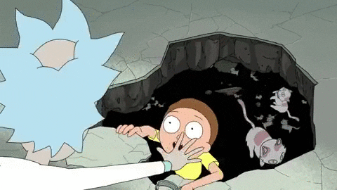 adult swim GIF by Rick and Morty