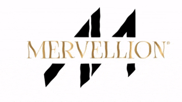 mervellion GIF