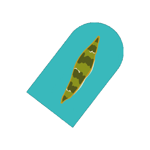 Articulação Semiárido Brasileiro - ASA Sticker