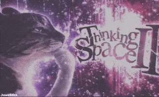 Cat Space GIF