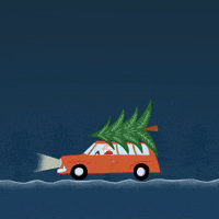 200.gif?cid=fc005b08ab402ad06e14eeea43e5731c780c5fe9b894c510&rid=200.gif&ct=g