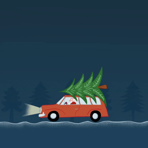 Christmas Car GIF by Freuleinwunder