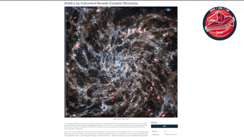 GIF by ESA Webb Space Telescope