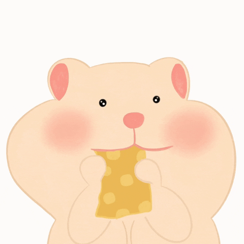 Pet Hamster GIF