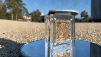 Animated GIF