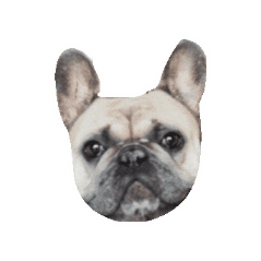 Sticker by The Jill Smith Team