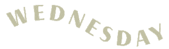 Wednesday Sticker