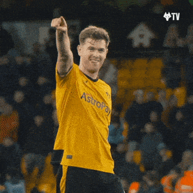Premier League Yes GIF by Wolves