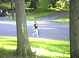 200.gif?cid=fc005b08e33cef53aa894ac23a7fb581ba113eaa72b26350&rid=200.gif&ct=g