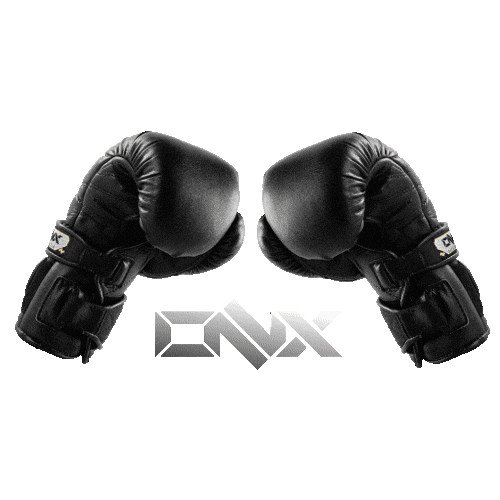 ONX Sports Sticker