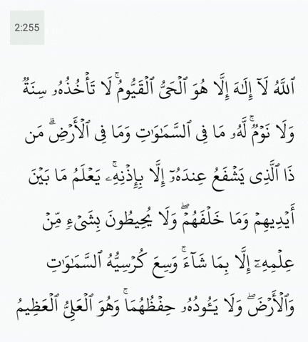 Quran GIF by MUSLIM