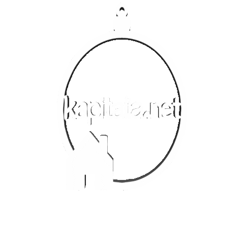 Kapitalia_net Sticker