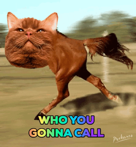 Digital art gif. Brown cat head, looking up, collaged onto a galloping horse's back legs and body. Text, "Who you gonna call."