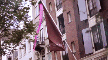 GIF by Pulitzer Amsterdam