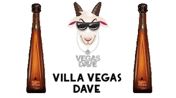 Sports Betting Parlay Sticker by Vegas Dave