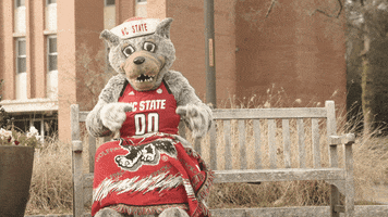 Nc State Wolfpack GIF by NC State University