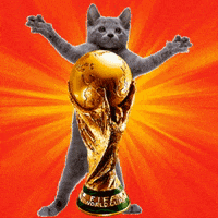 World Cup Winner GIF by Hacker Noon