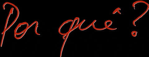 camisaspq porque por que pq camisaspq GIF