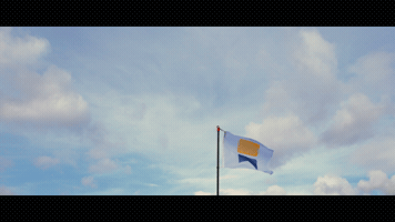 Flag GIF
