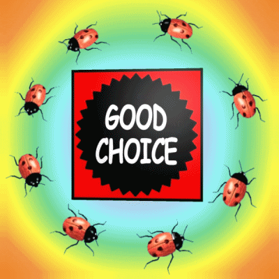 Good Decision Ladybugs GIF