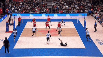 Japan Smash GIF by Volleyball World