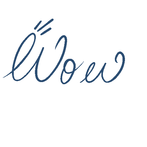 Wow Sticker