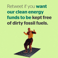 200.gif?cid=fc005b08155788d45b4569e52fb862576ad3f428ca41dd74&rid=200.gif&ct=g