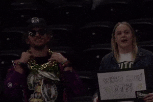 Fans Celtics GIF