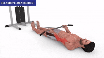 Bulksupplementsdirectcom GIF