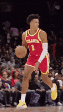 Atlanta Hawks Basketball GIF
