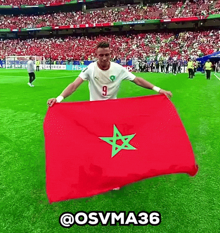 Morocco Dz GIF
