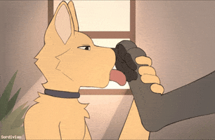 Paws Licking GIF