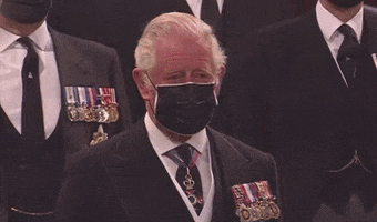 Prince Charles Look GIF by GIPHY News